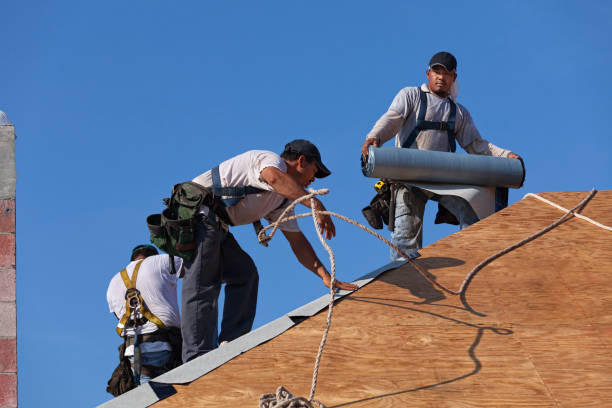 Best Metal Roofing Contractor  in Ruckersville, VA